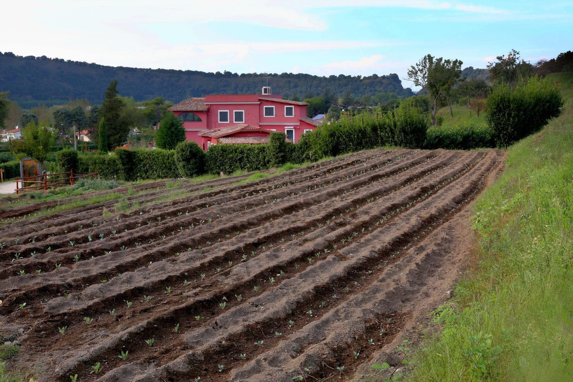 Agriturismo San Martino Pozzuoli Bagian luar foto