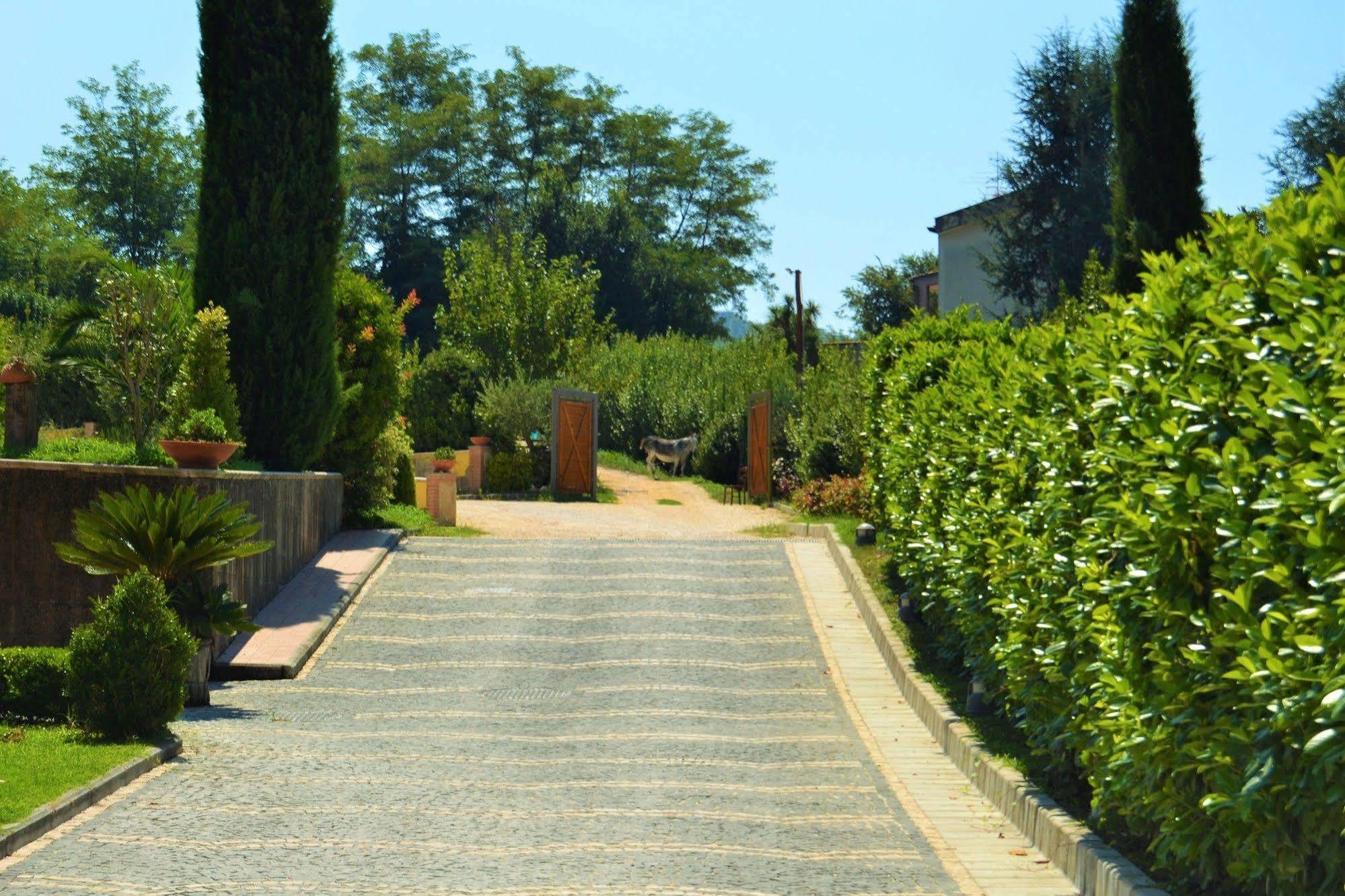Agriturismo San Martino Pozzuoli Bagian luar foto